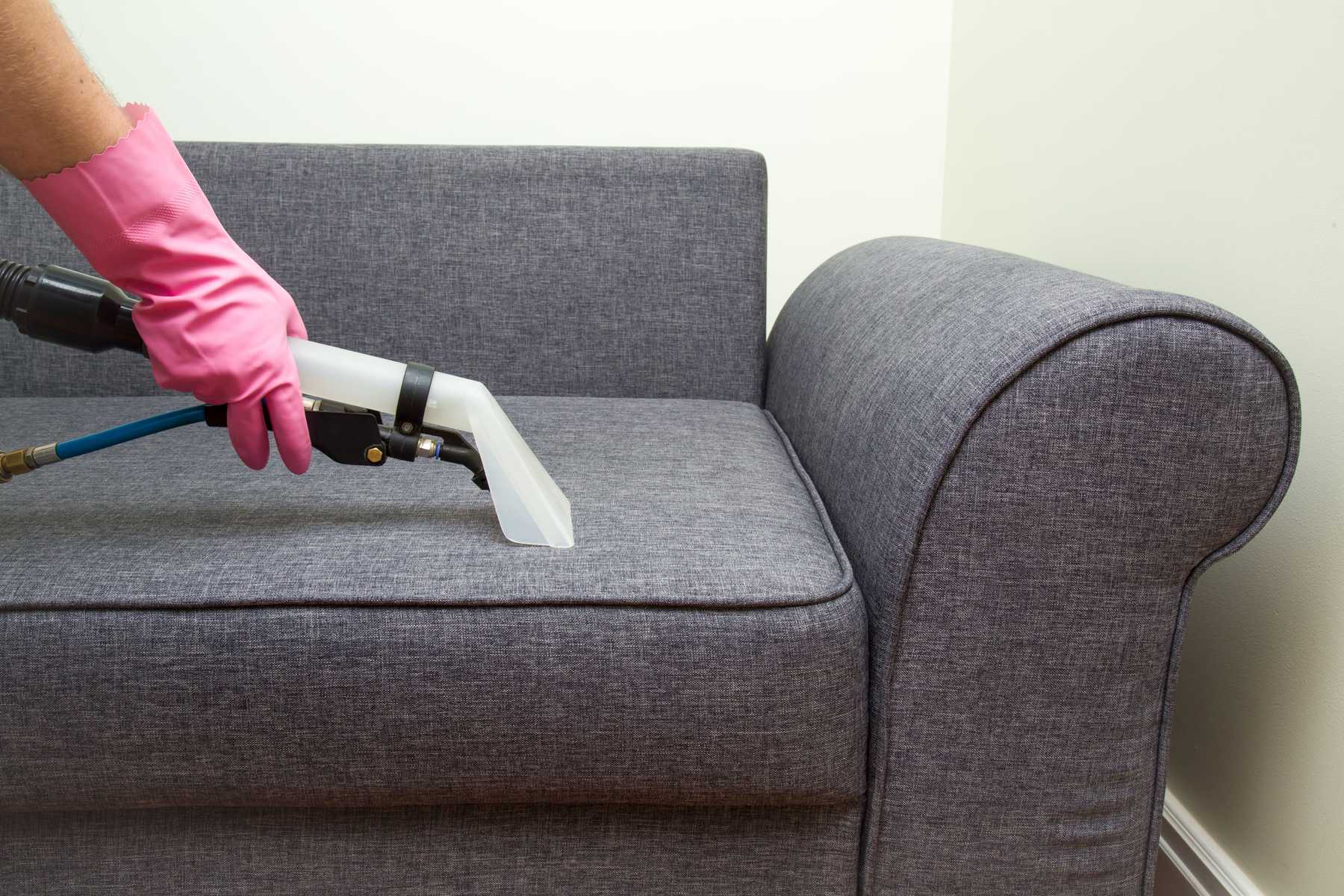 man wearing pink gloves cleaning sofa