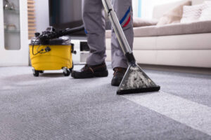 expert cleaning carpet