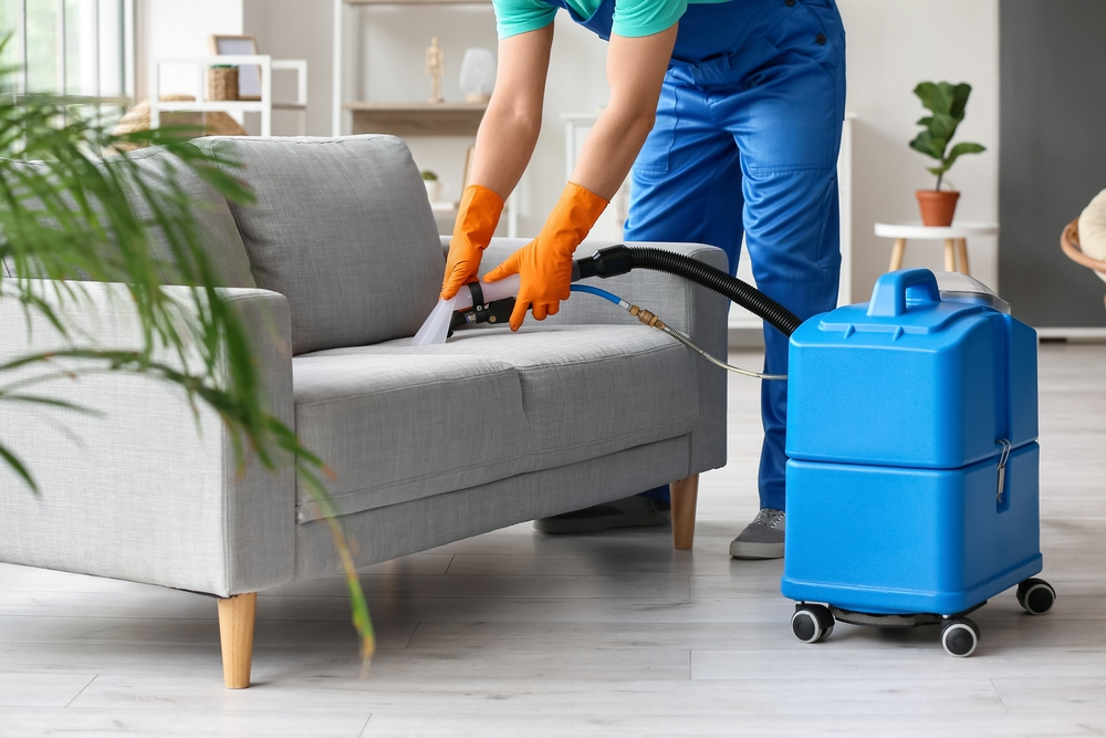 Expert is cleaning the sofa