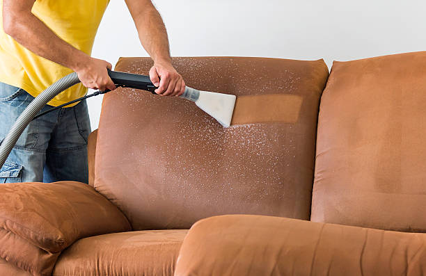 sofa cleaning service