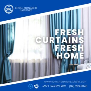 Curtain Cleaning Services